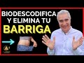 Qué Significa Tener Barriga En Biodescodificación Y Cómo Reducir