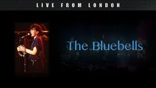 Video thumbnail of "The Bluebells - Runaway Train"