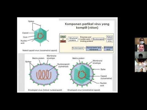 Video Praktikum Patogenesis InfeksiVirus