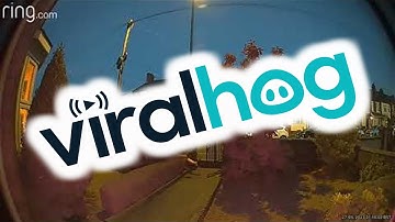 Guy Loses His Footing and Falls Into Bush || ViralHog