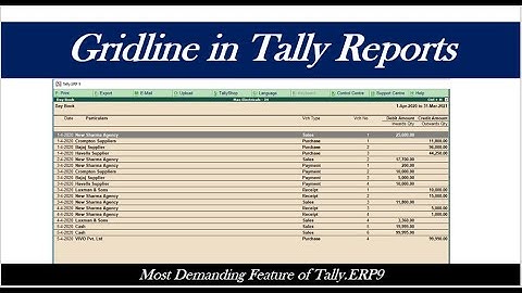 Grid Lines in Tally Reports