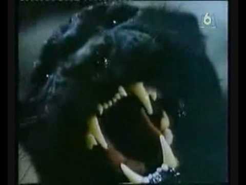 RUGGITO PANTERA NERA DA SCARICARE