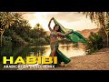 Arabic Belly Dance Remix Energy Boost Mix | Dynamic Middle East Beats