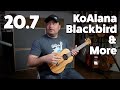 20.7 New KoAlana, Blackbird & More