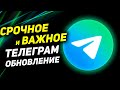 Обнови Телеграм НЕМЕДЛЕННО. Темы для Чатов, Кто Прочитал Сообщения, Запись Видеотрансляций