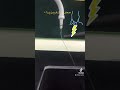 سحر الفيزياء والكهرباء الساكنة    