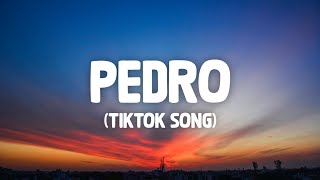 PEDRO - Jaxomy, Agatino Romero, Raffaella Carrà | TikTok Song