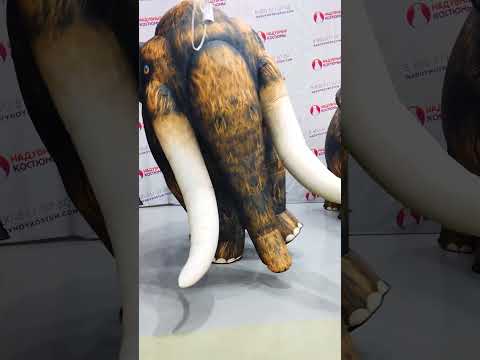 Надувной костюм МАМОНТа для двух аниматоров. #мамонт #shorts
