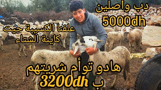 علفنا الكسيبة حيت كاينة الشتاء و هدا هو العلف (دخل تستافد)