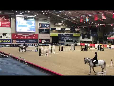 Pim De Vinck - Stallion Competition 7y old Opglabbeek - Final  - 19 03 2022