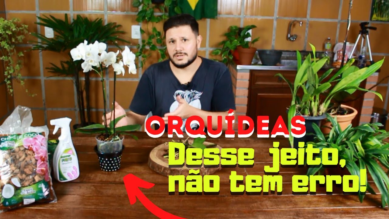 COMO ADUBAR AS ORQUÍDEAS PARA FLORIR SEMPRE!