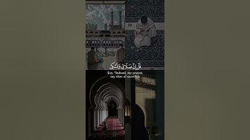 ( قل إنني هداني ربي إلى صراط مستقيم ) بصوت #عبيدة_موفق #سورة_الأنعام
