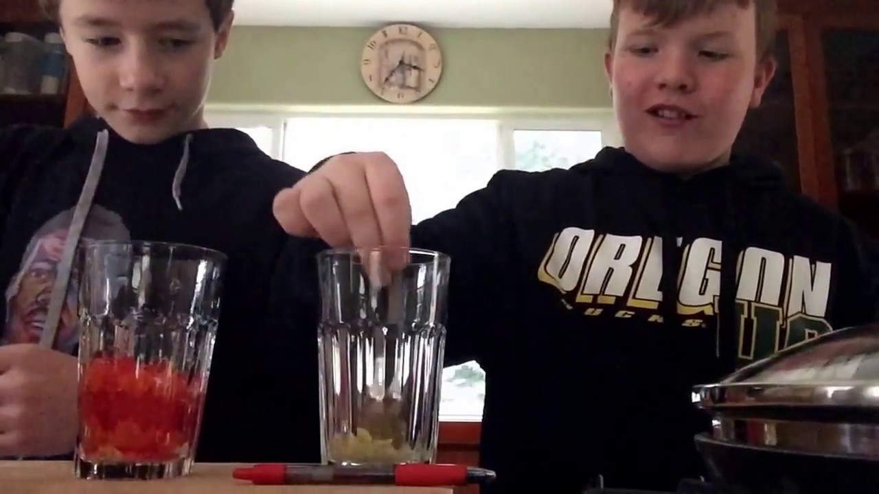 Gross drink challenge