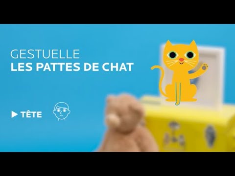 Z-16-Les pattes de chat