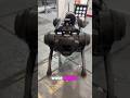 Bonnie the dogai barks and gets zoomies! #ai #robot #llm