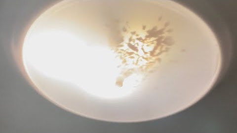 Replacing Burnt Out LED’s in RV