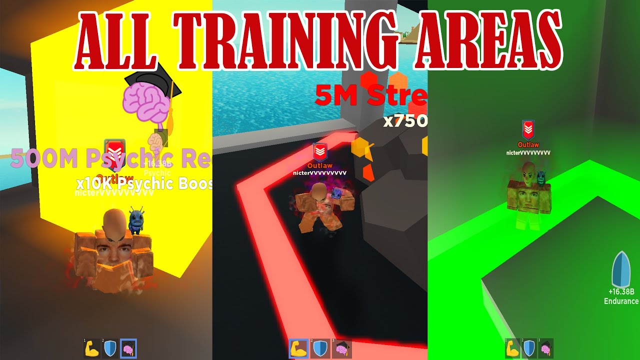 Power Fighting Simulator Training Area - 01/2022