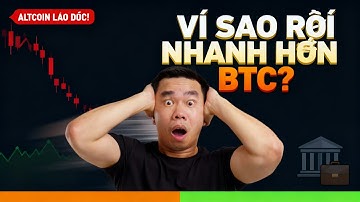 Vì sao Altcoin rơi nhanh hơn Bitcoin: Tổ chức mua đáy, nhỏ lẻ hoảng (Sống sót & giàu kỳ tới?)