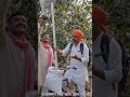 ब्लैक बेर्री (काला जामुन )👍👌 #shortvideo #funny video
