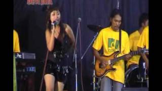 Kucing Garong Om Dnada Nerud