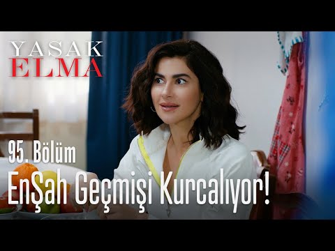 EnŞah geçmişi kurcalıyor! - Yasak Elma 95. Bölüm