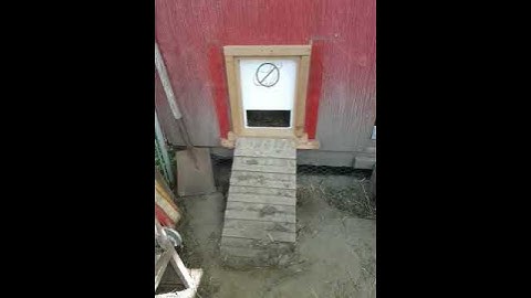 Automated Chicken Coop Door