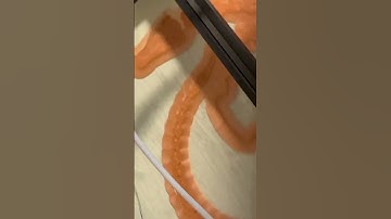 Making Shenron #shenron #3dprinting #dragonball #pla