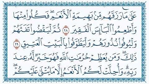 سورة الحج  22   الحافظ علي حسن داود      رحمه الله