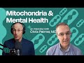 Brain energy mitochondria and mental health with dr chris palmer