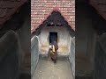 Old 400 year antique palace #shorts see comments for description and location