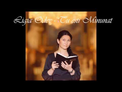 Ligia Odev - Tu esti Minunat