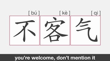 【HSK1】不客气 | Stroke Order | Pronunciation