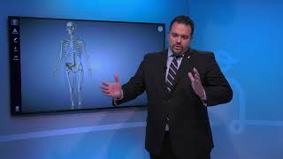 Learning about an Orthopedic Surgeon's Work