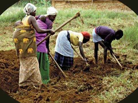 Video: ¿Qué es la agricultura de subsistencia AP Human Geography?