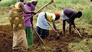 Agricultura de subsistencia y tipos