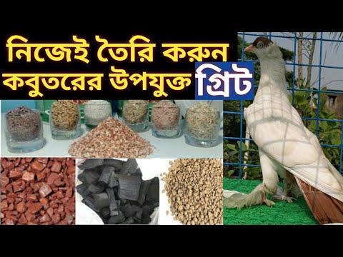 ভিডিও: গ্রিট মানসিকতা কি?