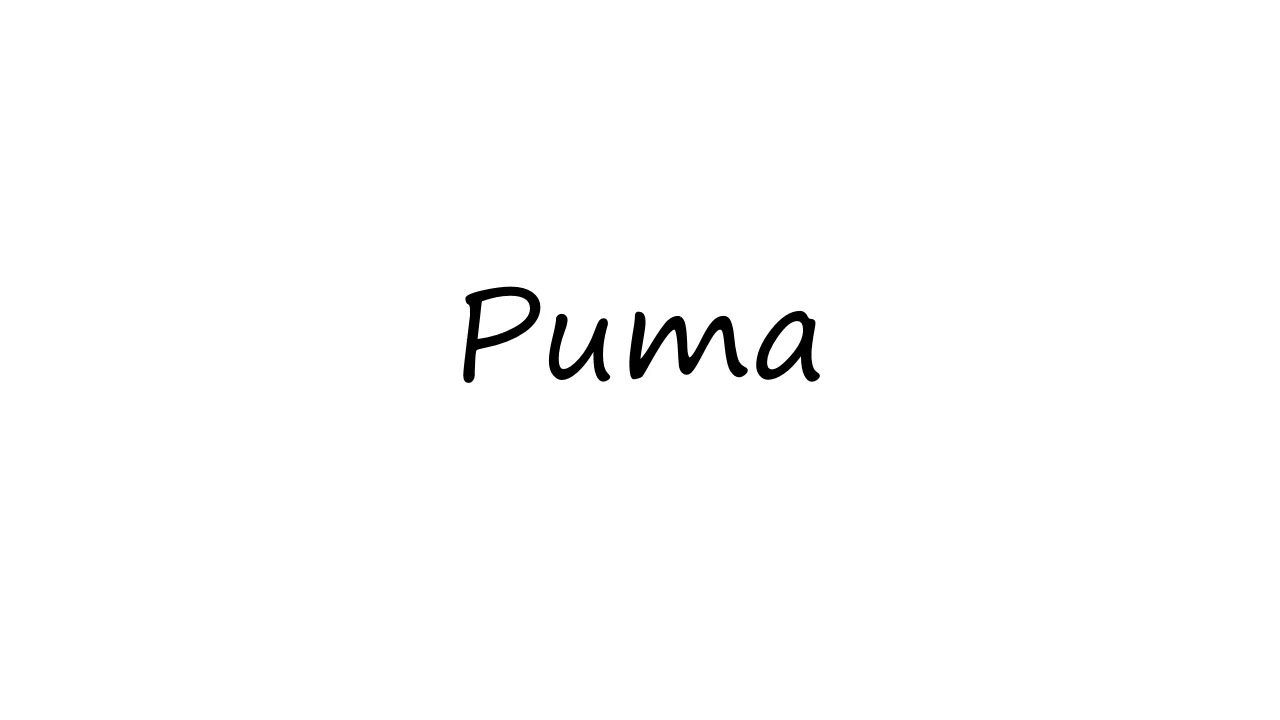 puma pronunciation american