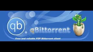 Come installare QBitTorrent su OpenMediaVault 6 tramite Docker e Portainer. Parte 3