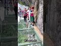 Acting Brave on a Glass Bridge… Until He Ended Up Squatting in Fear! 🤣