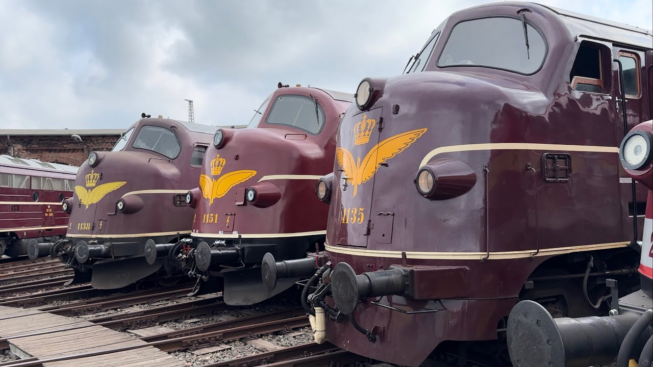 Großes Nohab Diesellok Treffen im historischen Lokschuppen Wittenberge. Jubiläum. 