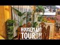 Daming halaman!!!  First House Plant Tour Philippines!!!