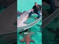 世界一オーバーな広告#shorts
