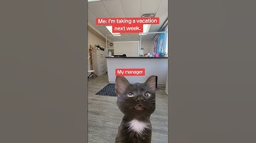 #tech #computerscience #programming #funny #coding #dev #viral #fyp #memes #viralvideo #python