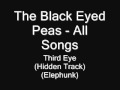 88 The Black Eyed Peas Third Eye Hidden Track mp3