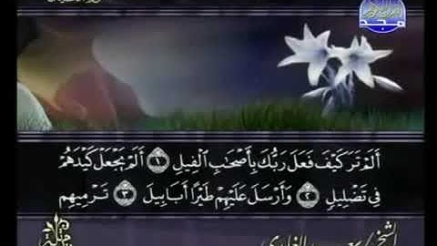 الشيخ سعد الغامدي | القرآن الكريم 🍂 سورة الفيل