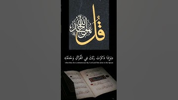 💢 آيات من الذكر الحكيم 💢 #قرآن #تدبر_آية #quran ❤ #تلاوة_خاشعة #foryou #fyp #explore #اكسبلور