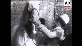Tom Mix And His Horse Tony Arrive In England