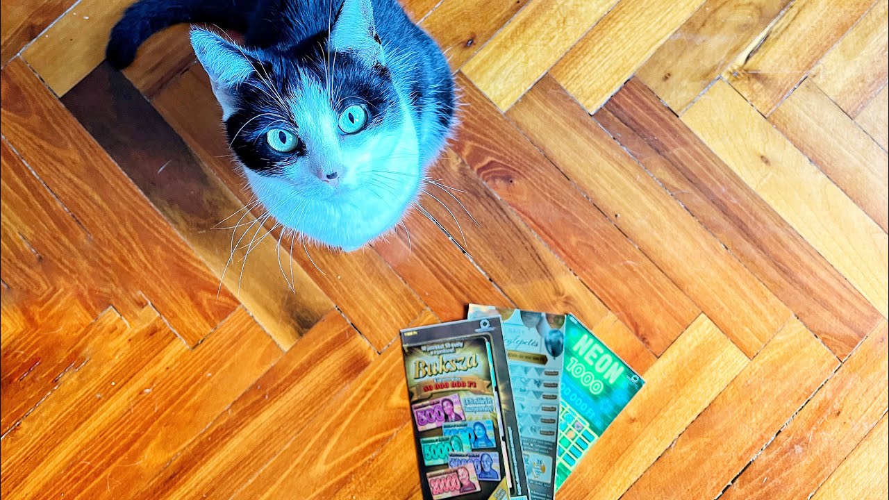 Ilyet még nem láttunk! 🫣 Nyeremények! 🔥🔥🔥 Nagy meglepetés, Buksza, Neon sorsjegy kaparàs. 🤘