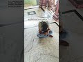Mira Datar Dargah sharif ❤️new qawwali status video #whattsappstatus #shorts #reels #sounds