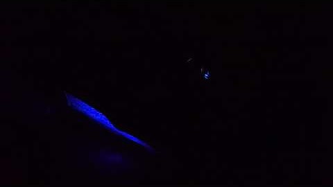 👽 Alienware AlienFX 3rd party music visualisation 🔊💡